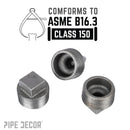 1 1/4 in. Black Plug