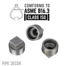1 1/4 in. Black Plug