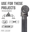 1 in. Black Plug