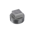 2 in. Black Plug