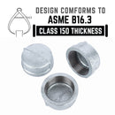 1 1/4 in. Galvanized Iron Cap