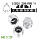 1/4 in. Galvanized Iron Plug