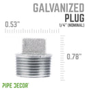 1/4 in. Galvanized Iron Plug