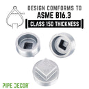 2 in. Galvanized Iron Plug