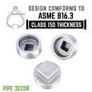 2 in. Galvanized Iron Plug