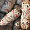 White Sage Smudge Wholesale