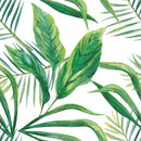 Leaves on White Background Wallpaper