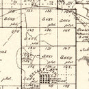 Vintage Map of Callahan County, Texas 1880