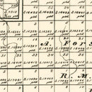 Vintage Map of Cottle County, Texas 1891