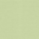 Precut Zweigart Aida extra fine 20 count Light Green 3326/6083