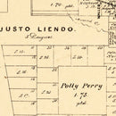 Vintage Map of Waller County, Texas 1879
