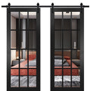 Felicia 3355 Matte Black Double Barn Door with 12 Lites Clear Glass | Black Rail