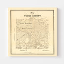 Vintage Map of Young County, Texas 1879