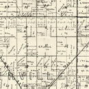 Vintage Map of Christian County, Illinois 1893