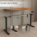 Electric Height Adjustable Standing Desk 55 X 24 Inch With Memory Presets