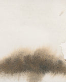 Wash on Wash Study