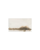 Wash on Wash Study