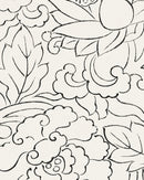 Pattern Study