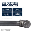 3 in. Black Plug