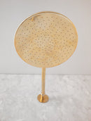 Antique Brass Shower with Single Handle