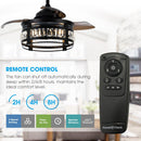 36" Punjab Modern Downrod Mount Ceiling Fan with Lighting and Remote Control