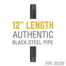 1/4 in. x 12 in. Black Pipe
