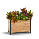 18" x 36" Planter Box - 24" TALL / Select Grade