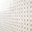 Bianco Dolomite Crema Dotty 12.88" x 12.88" Polished Marble Mesh-Mounted Mosaic Tile Pattern-MSI Collection