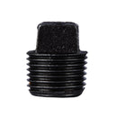 1/2 in. Prefinished Matte Black Plug