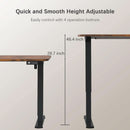 Electric Height Adjustable Standing Desk 55 X 24 Inch With Memory Presets