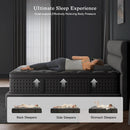 Queen 12 Inches Hybrid Memory foam Mattress CertipurUS