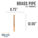 1/2 in. x 12 in. Red Brass Pipe