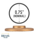 3/4 in. Red Brass Flange