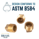 1/2 in. Red Brass Plug