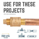 1/2 in. Red Brass Plug
