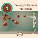 Astragalus Root Complex Immune Support Supplement- Huang Qi to Fortify Natural Immunity