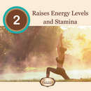 Astragalus Root Complex Immune Support Supplement- Huang Qi to Fortify Natural Immunity