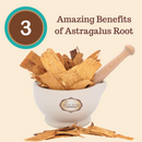 Astragalus Root Complex Immune Support Supplement- Huang Qi to Fortify Natural Immunity