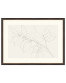 Lemon Branch Drawing