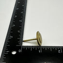 Jenny Lind & Saratoga Decorative Trunk Nail