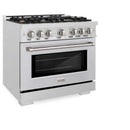 ZLINE 36" Select Gas Range Convection Gas Oven DuraSnow® Stainless Steel Brass Burners HGRS-BR-36
