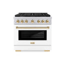 ZLINE 36"Paramount Dual Fuel Range White Matte Gold SDRZ-WM-36-G