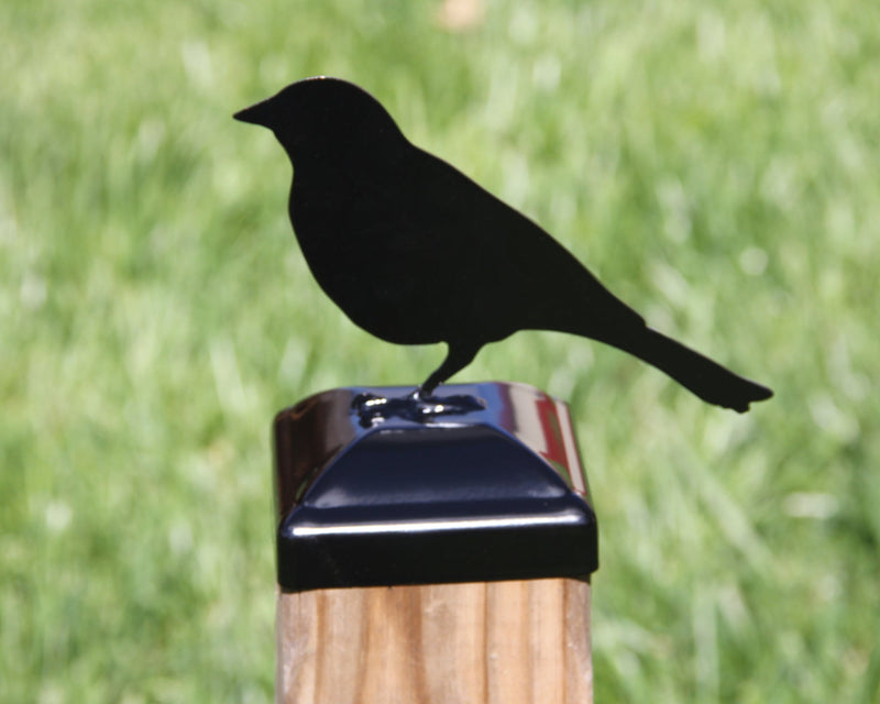 6X6 Song Bird Post Cap (5.5 x 5.5 Post Size)