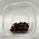 Decorative Nail, Simple Domed Head