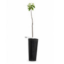 Bird Sanctuary Live Plant Landscape Kit | Prairie Legacy Inc.