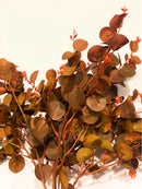 Artificial Autumn Eucalyptus Stems