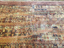 Couristan Rug 8x11 Modern Contemporary Wool Belgium Power Loomed Carpet
