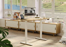 Electric Standing Desk 48X24 Inches White Height Adjustable