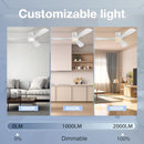 52 Inch Smart Low Profile Ceiling Fan With Remote Control