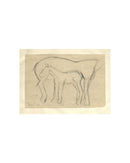 Mare and Foal